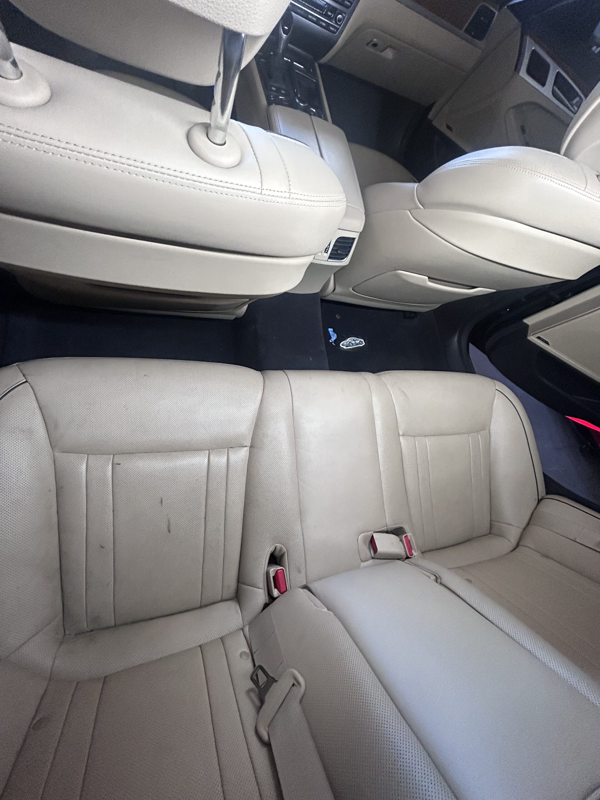 IMG_5452 IMG 5452 scaled